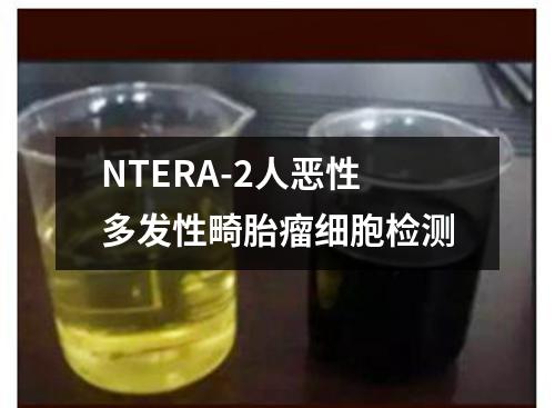 NTERA-2人恶性多发性畸胎瘤细胞检测