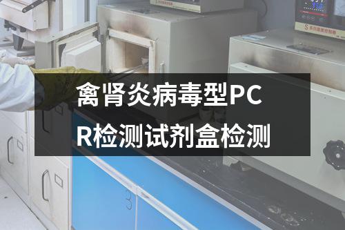 禽肾炎病毒型PCR检测试剂盒检测