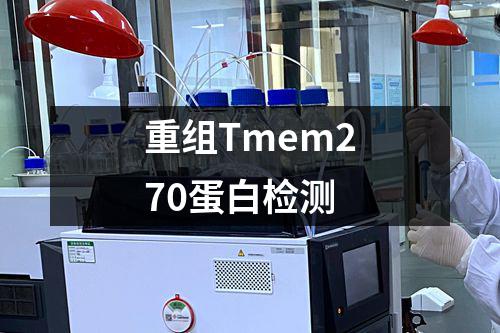 重组Tmem270蛋白检测