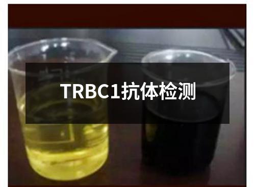 TRBC1抗体检测