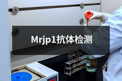 Mrjp1抗体检测