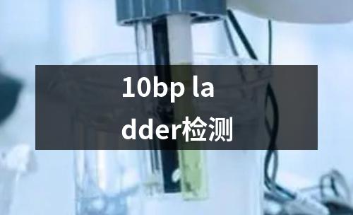 10bp ladder检测