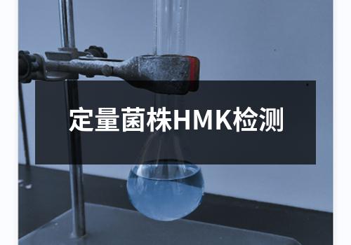 定量菌株HMK检测