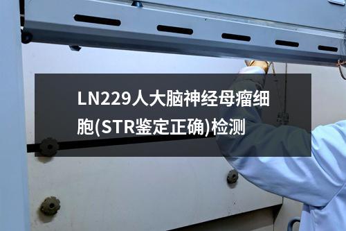 LN229人大脑神经母瘤细胞(STR鉴定正确)检测