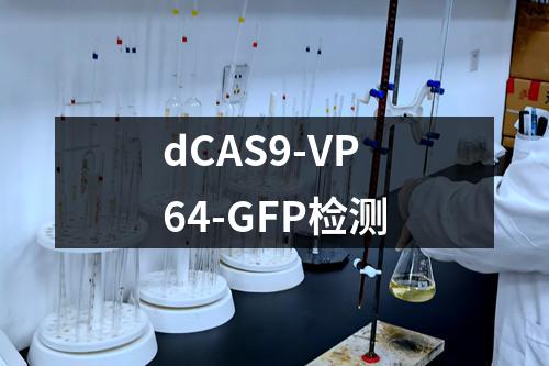 dCAS9-VP64-GFP检测