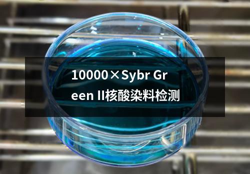 10000×Sybr Green II核酸染料检测