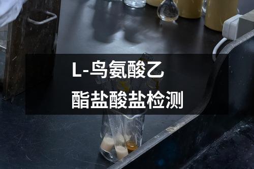 L-鸟氨酸乙酯盐酸盐检测