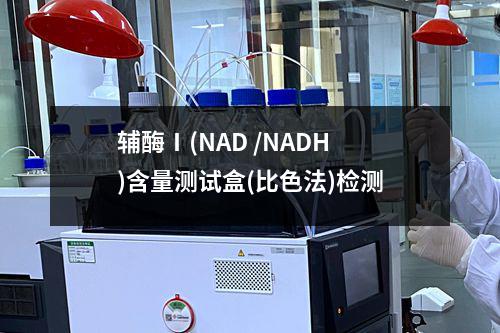 辅酶Ⅰ(NAD /NADH)含量测试盒(比色法)检测