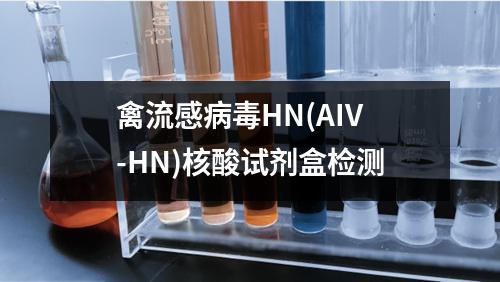 禽流感病毒HN(AIV-HN)核酸试剂盒检测