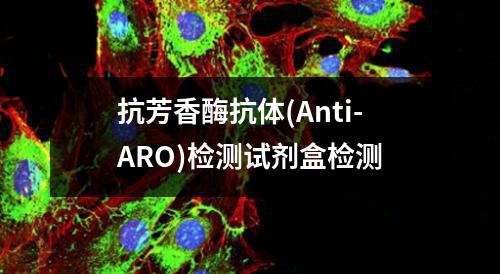 抗芳香酶抗体(Anti-ARO)检测试剂盒检测