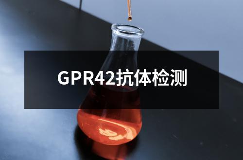 GPR42抗体检测