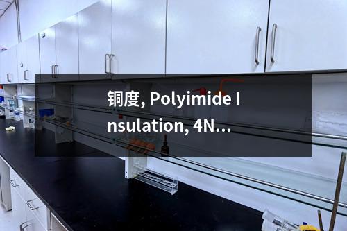 铜度, Polyimide Insulation, 4N产品检测