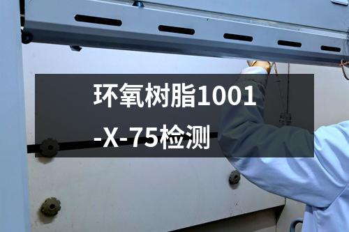 环氧树脂1001-X-75检测