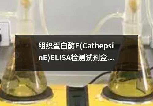 组织蛋白酶E(CathepsinE)ELISA检测试剂盒检测