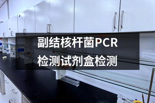 副结核杆菌PCR检测试剂盒检测