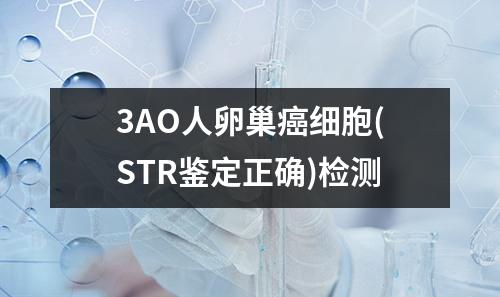 3AO人卵巢癌细胞(STR鉴定正确)检测