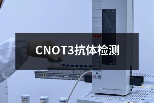 CNOT3抗体检测