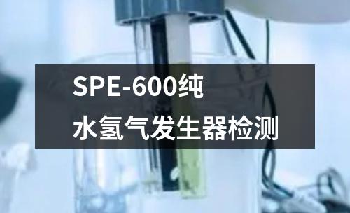 SPE-600纯水氢气发生器检测