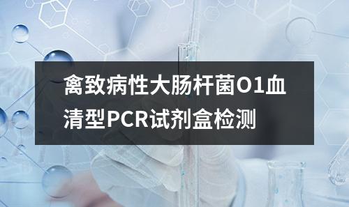 禽致病性大肠杆菌O1血清型PCR试剂盒检测