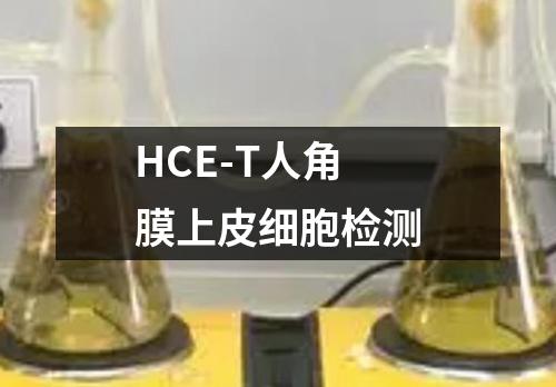 HCE-T人角膜上皮细胞检测