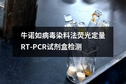 牛诺如病毒染料法荧光定量RT-PCR试剂盒检测