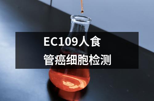 EC109人食管癌细胞检测