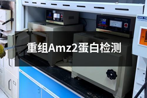 重组Amz2蛋白检测