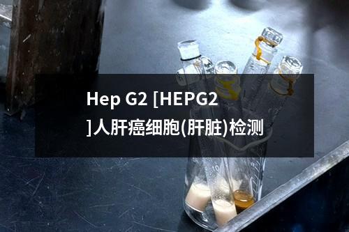 Hep G2 [HEPG2]人肝癌细胞(肝脏)检测