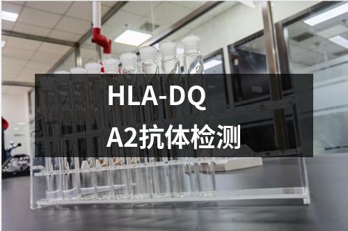 HLA-DQA2抗体检测