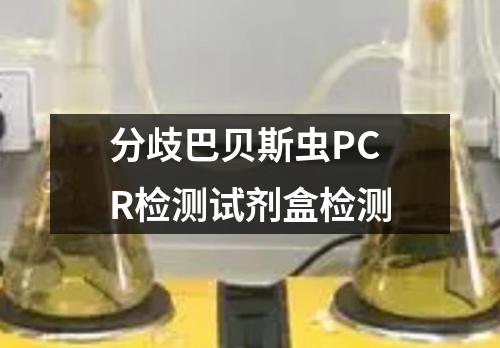 分歧巴贝斯虫PCR检测试剂盒检测