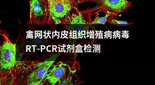 禽网状内皮组织增殖病病毒RT-PCR试剂盒检测