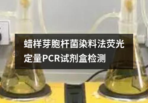 蜡样芽胞杆菌染料法荧光定量PCR试剂盒检测