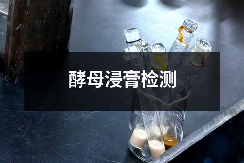 酵母浸膏检测