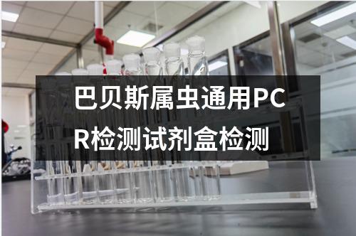 巴贝斯属虫通用PCR检测试剂盒检测