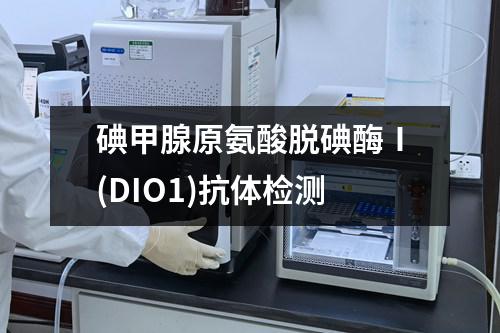 碘甲腺原氨酸脱碘酶Ⅰ(DIO1)抗体检测