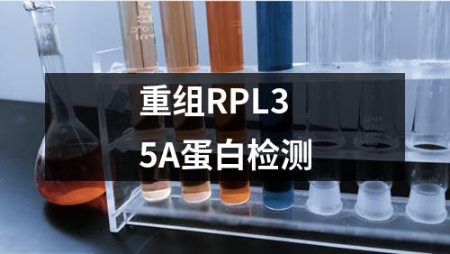 重组RPL35A蛋白检测