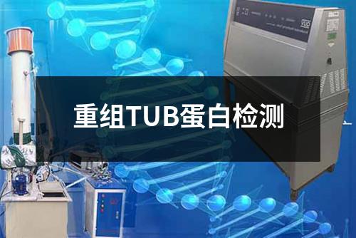 重组TUB蛋白检测