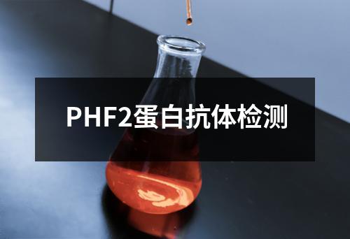 PHF2蛋白抗体检测