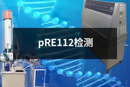 pRE112检测