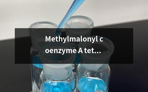 Methylmalonyl coenzyme A tetralithium salt hydrate检测