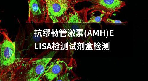 抗缪勒管激素(AMH)ELISA检测试剂盒检测