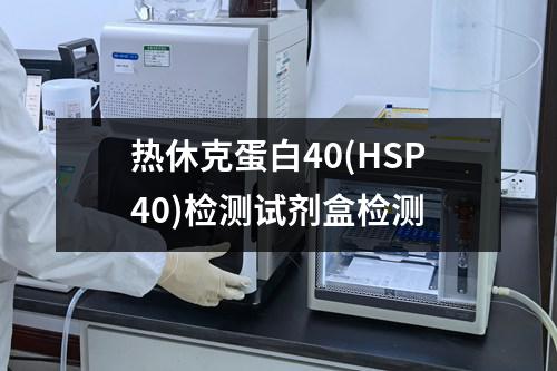 热休克蛋白40(HSP40)检测试剂盒检测