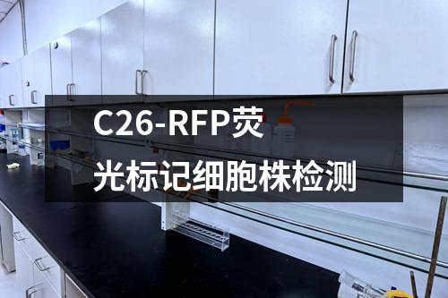 C26-RFP荧光标记细胞株检测