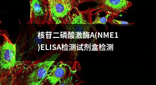 核苷二磷酸激酶A(NME1)ELISA检测试剂盒检测