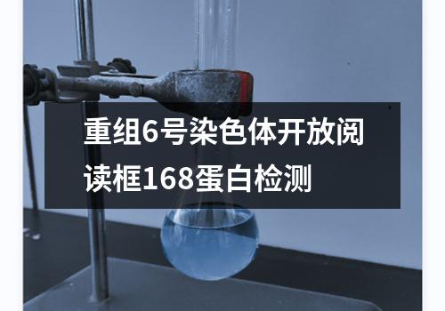 重组6号染色体开放阅读框168蛋白检测