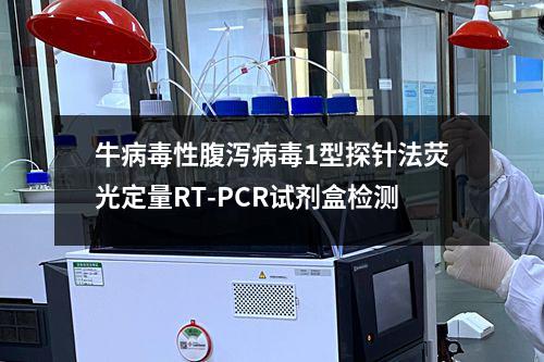 牛病毒性腹泻病毒1型探针法荧光定量RT-PCR试剂盒检测