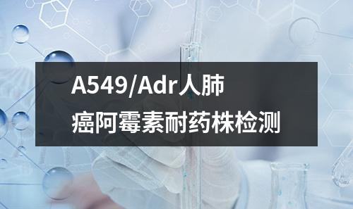 A549/Adr人肺癌阿霉素耐药株检测