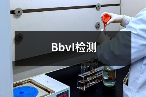 BbvI检测