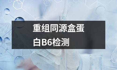 重组同源盒蛋白B6检测