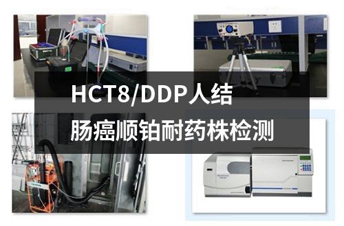 HCT8/DDP人结肠癌顺铂耐药株检测